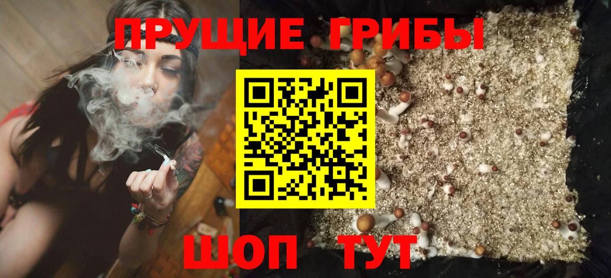 Галлюциногенные грибы Psilocybe  Вход с VPN  Скопин  Галлюциногенные грибы MAGIC MUSHROOMS 